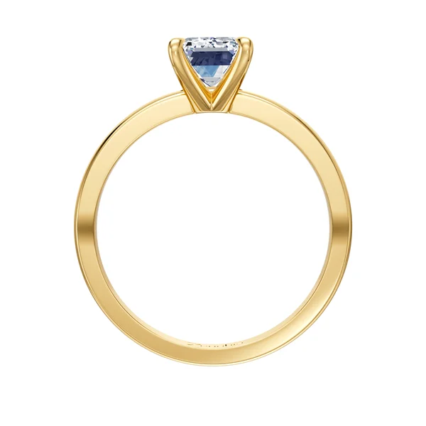 Anastasia_stand_Zenubia_Schmuck_Winterthur_Verlobungsring_Anastasia_stand_30006